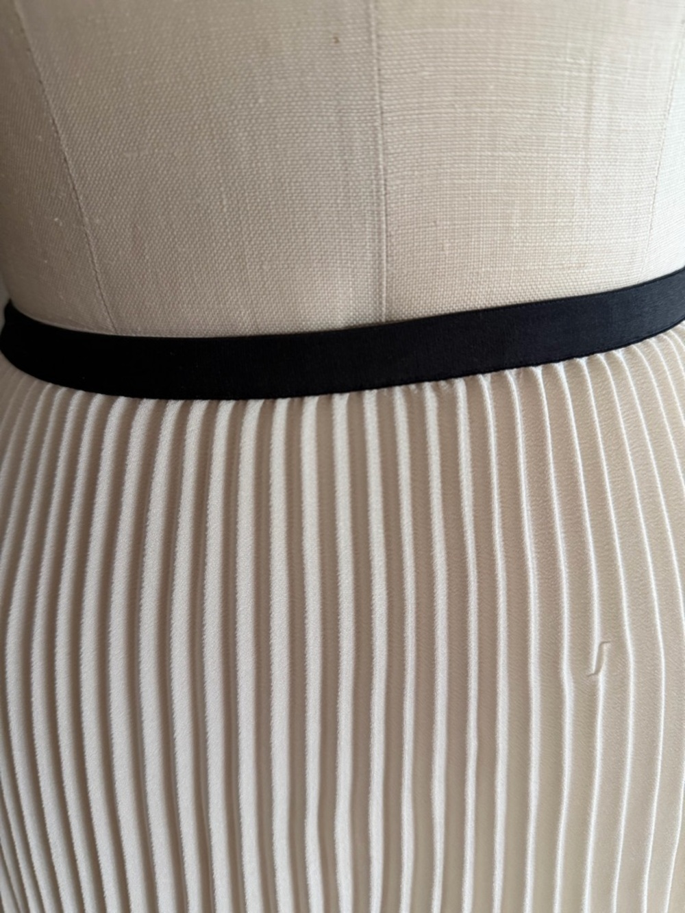 Jenni Kayne Pleated Skirt.
Ivory/Black
NWOT 
Size XS - Picture 11 of 15